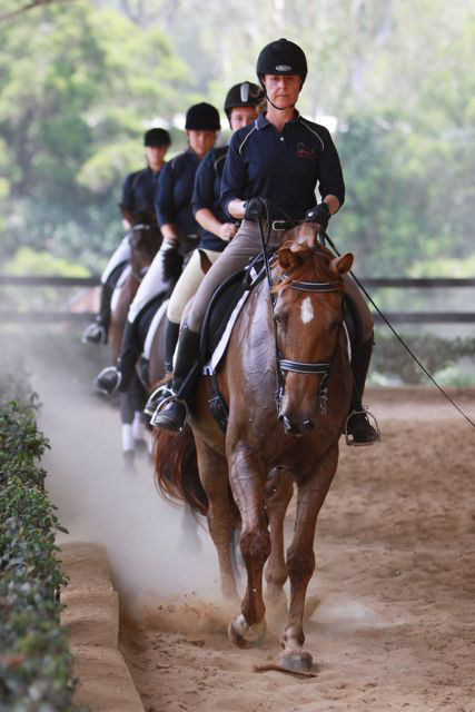 Linda Treur horse riding lessons