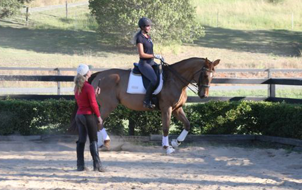 Linda Treur Horse training 1